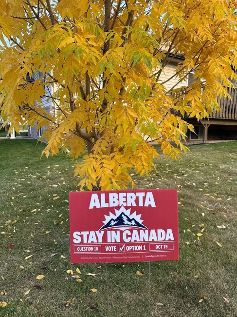 Campaign lawn sign under autumn trees